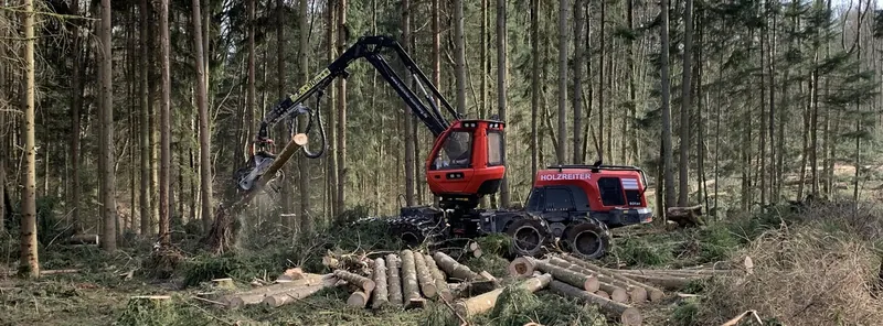 Bestandsschonende Holzernte mit dem Harvester von Holz Reiter