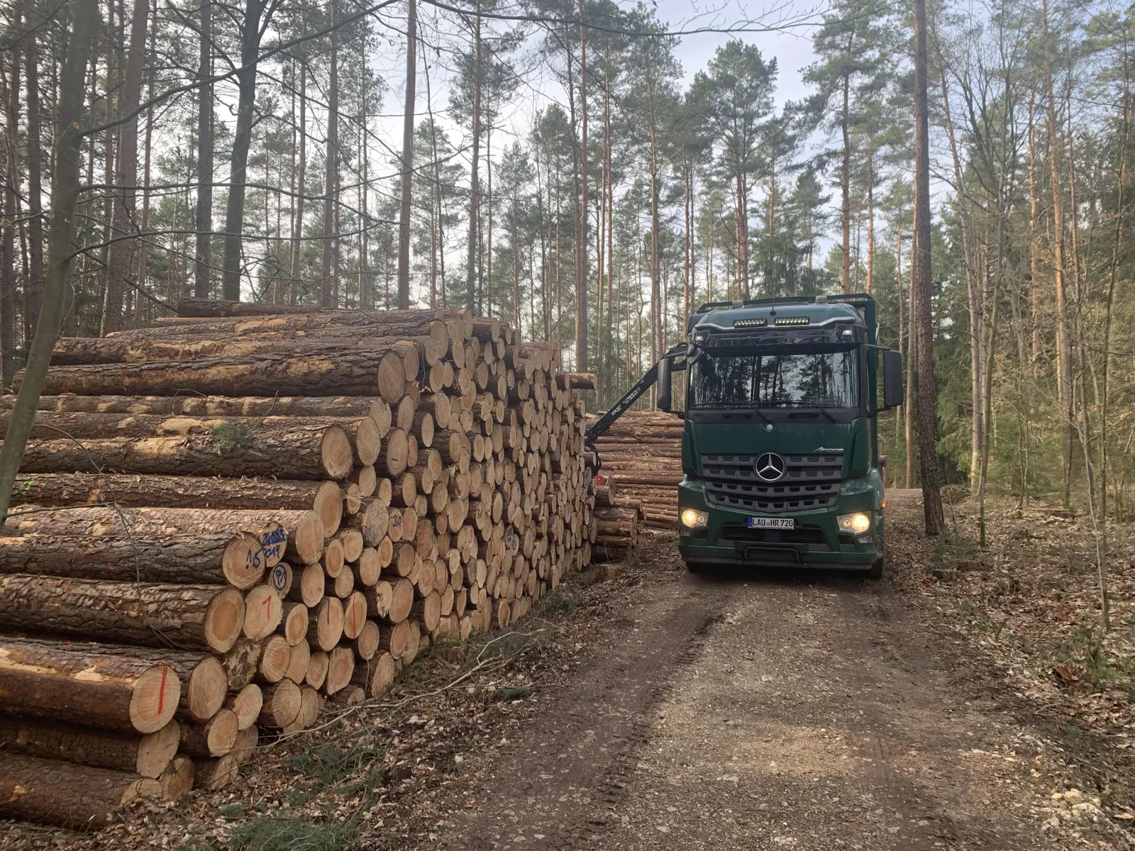 Holzreiter Nürnberg